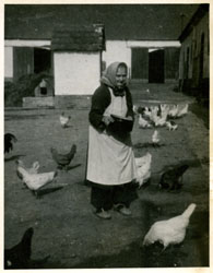 Maminka, 50. léta